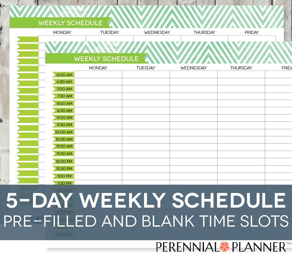 Daily Schedule Printable Editable Times Half Hourly Weekly
