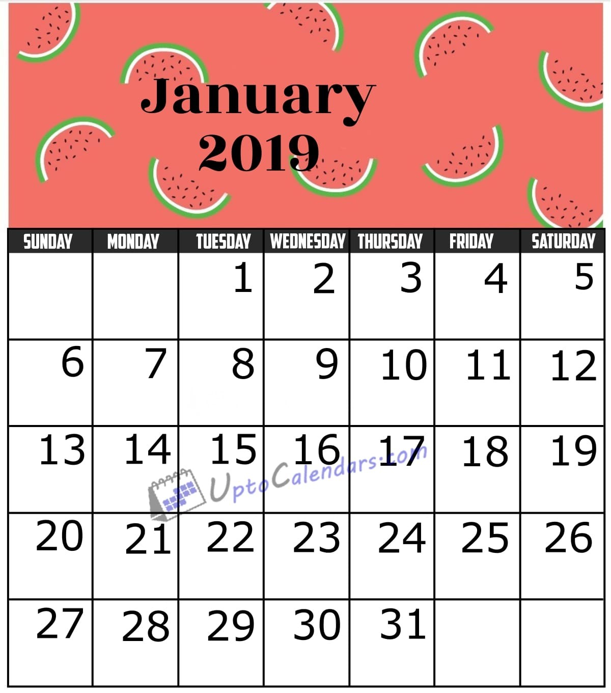 January 2019 Calendar Printable Template with Holidays PDF