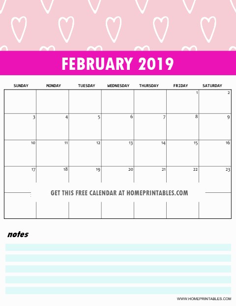 Free 2019 Monthly Calendar Printable Cute and Colorful