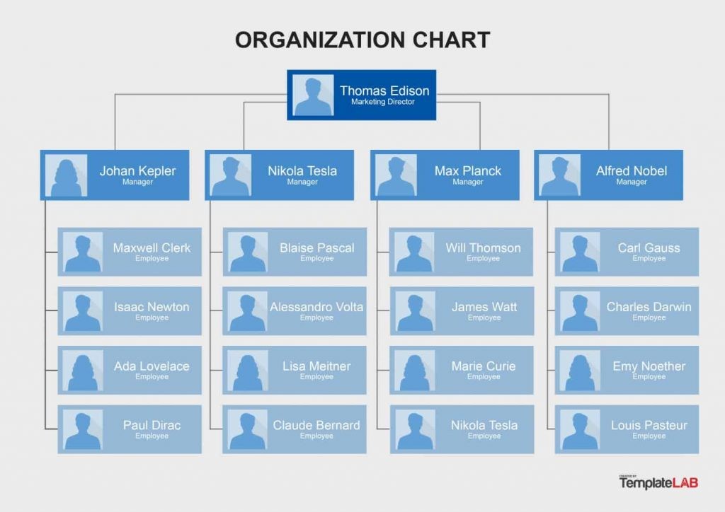 Org Chart Template Organization Visio 2007 Shapes