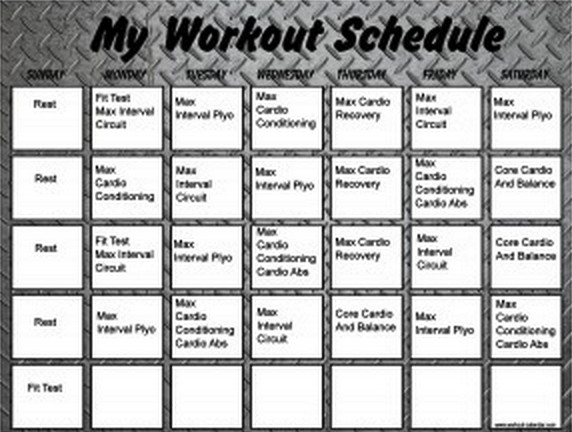 Download Insanity Workout Schedule